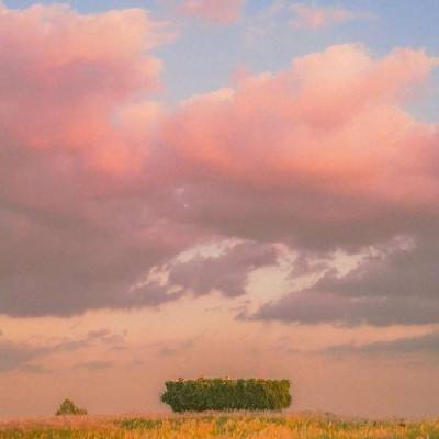 乐鱼综合APP下载