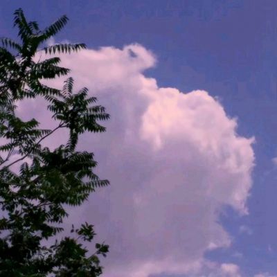 365在线下载手机版